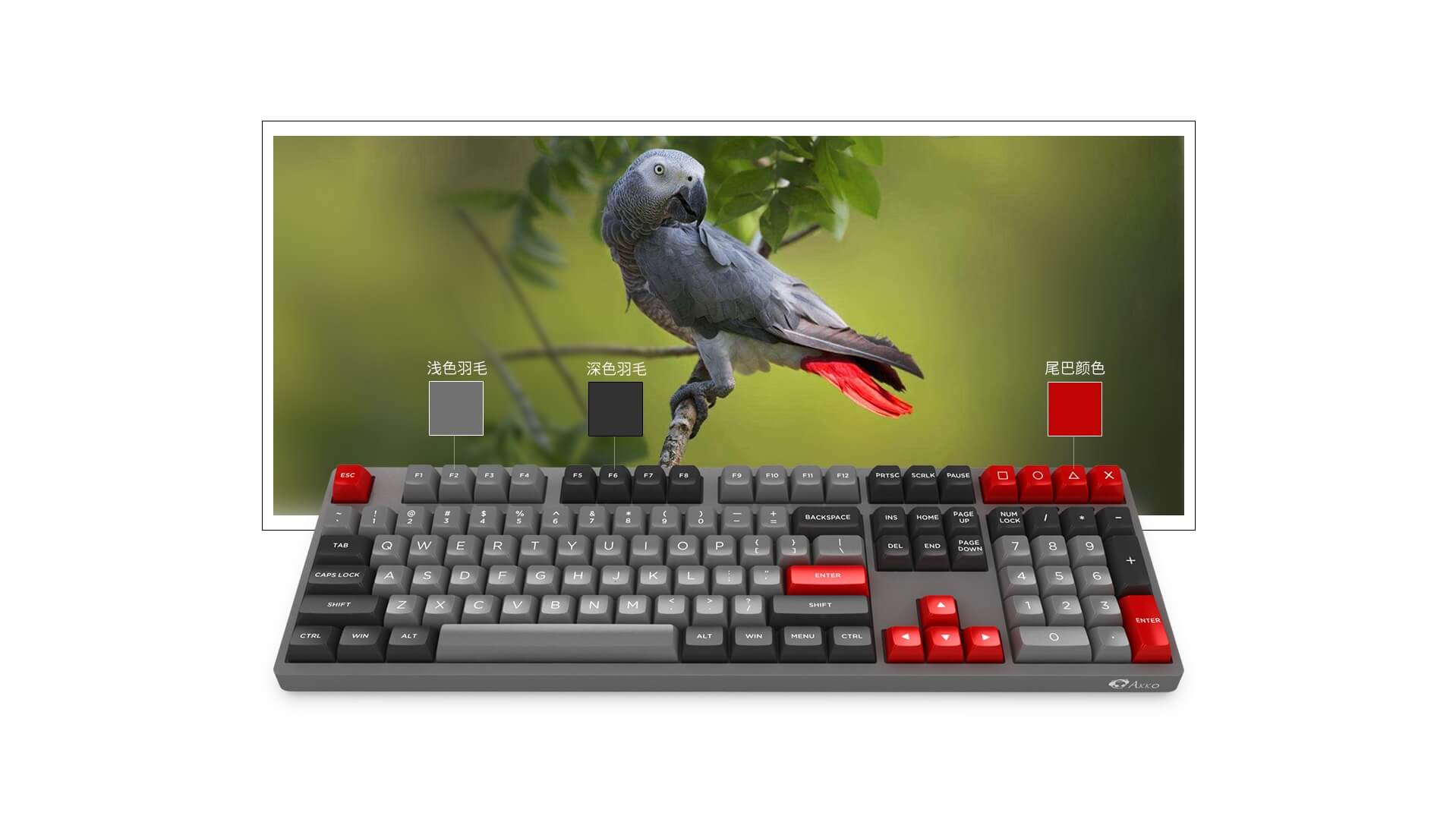 Bàn phím cơ Akko 3108 V2 OSA Grey Parrot Psittacus Gateron Yellow Switch  có thiết kế lạ, bắt mắt